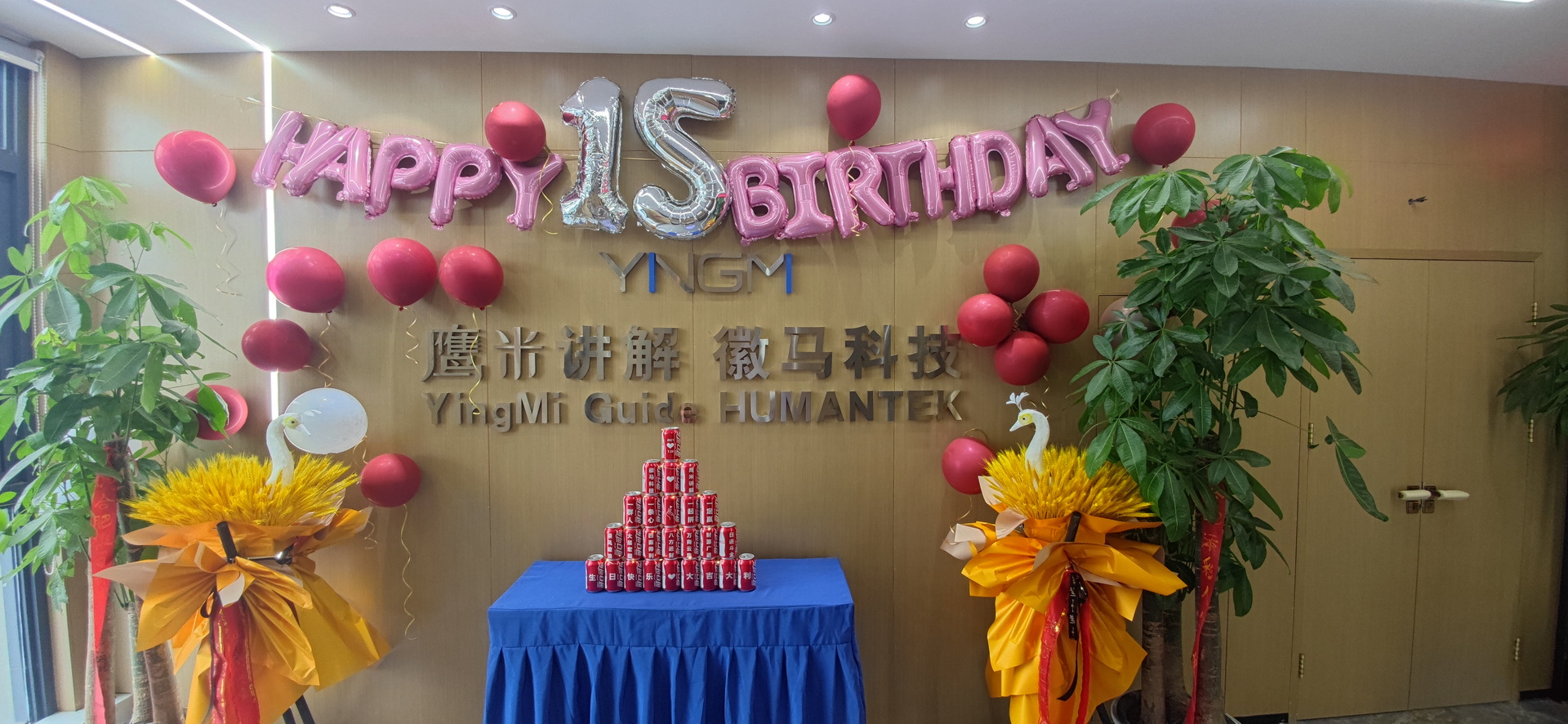 鷹米講解 鷹米講解