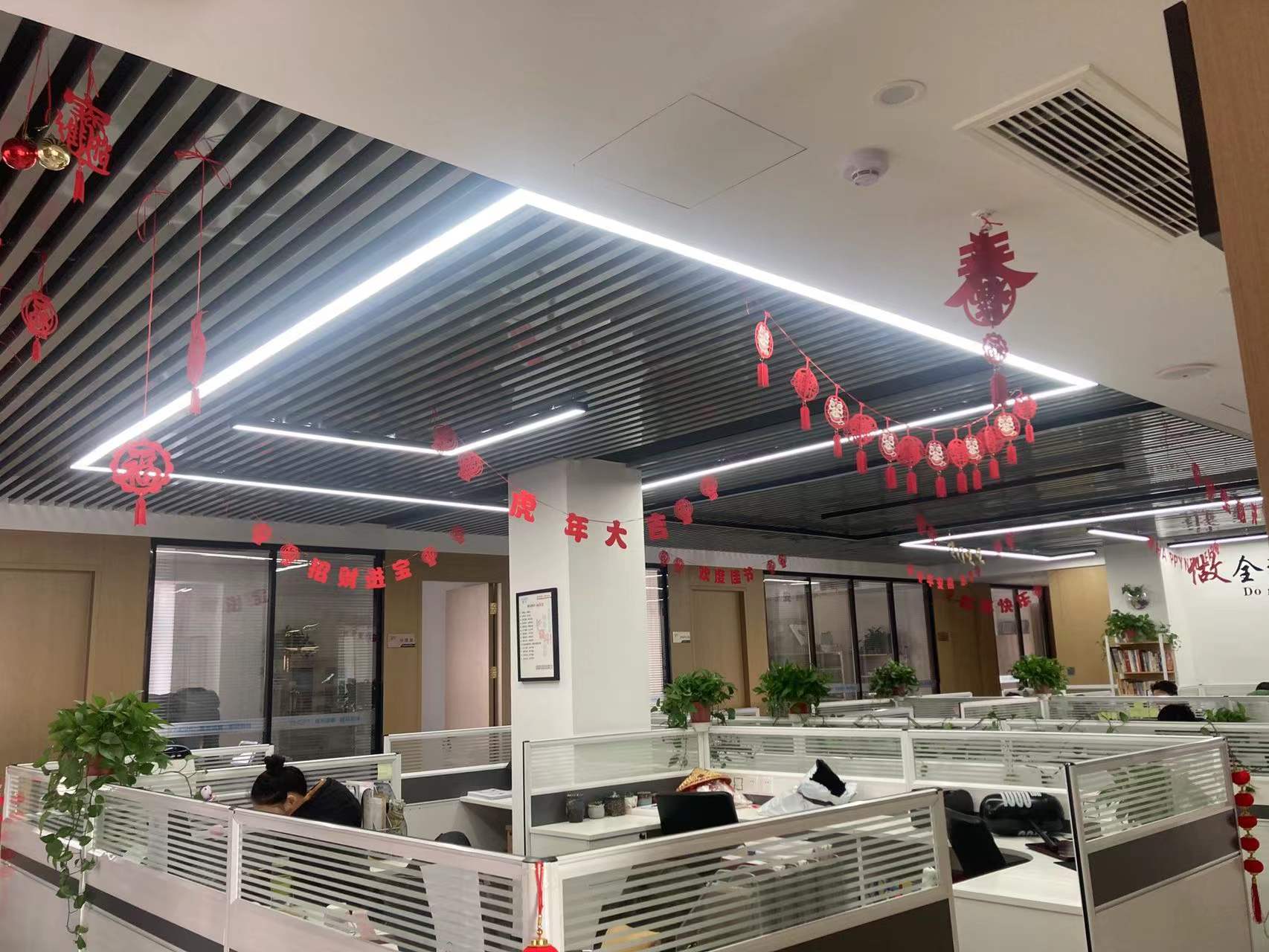 鷹米講解 鷹米講解