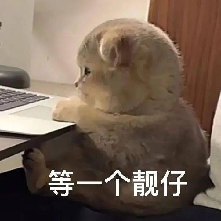 分區講解廠家 分區講解廠家