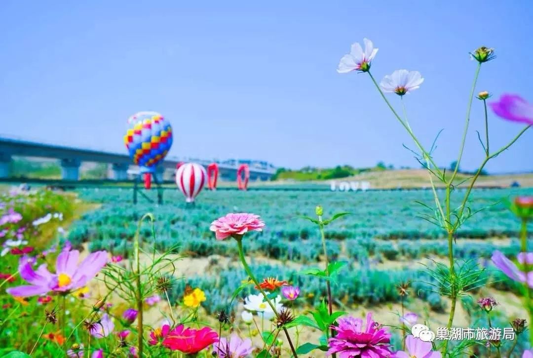 語(yǔ)音導(dǎo)覽系統(tǒng) 語(yǔ)音導(dǎo)覽系統(tǒng)